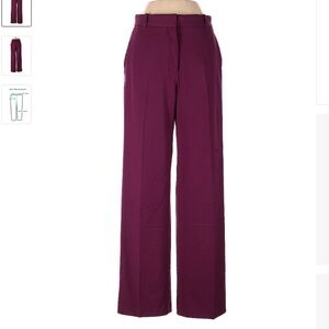 NWOT Aritzia Babaton High Rise Agency Pants